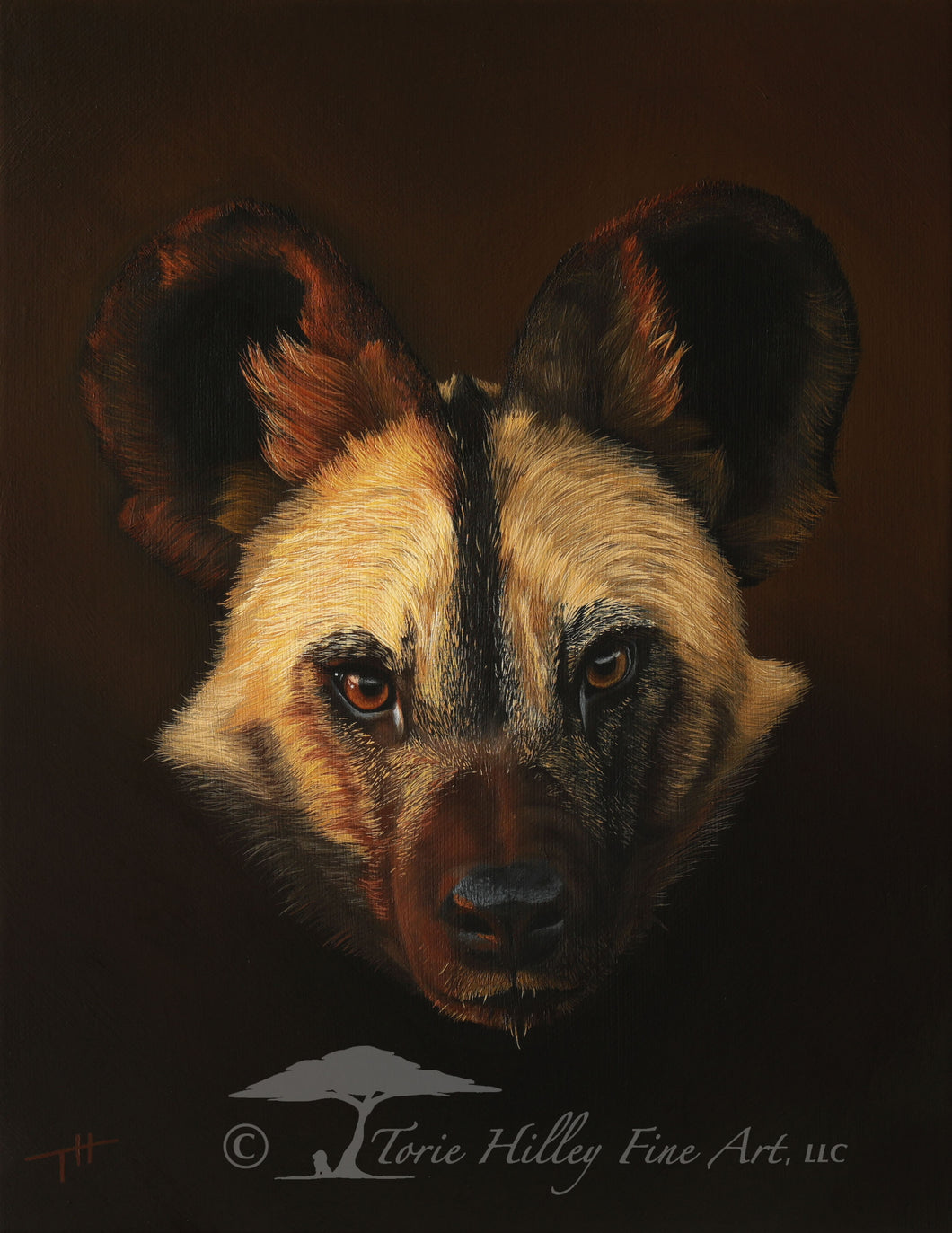 Emergence of an African Painted Dog - Limited Edition Reproduction Prints