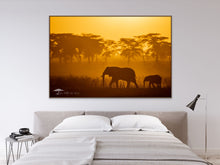 Load image into Gallery viewer, Golden Elephants - Limited Edition Fine Art Print
