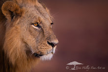 Load image into Gallery viewer, Nairobi King - Limited Edition Fine Art Print
