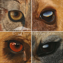 Load image into Gallery viewer, African Predator Eyes - Limited Edition Reproduction Prints

