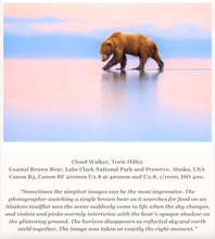 Load image into Gallery viewer, Cloud Walker - Limited Edition Fine Art Print

