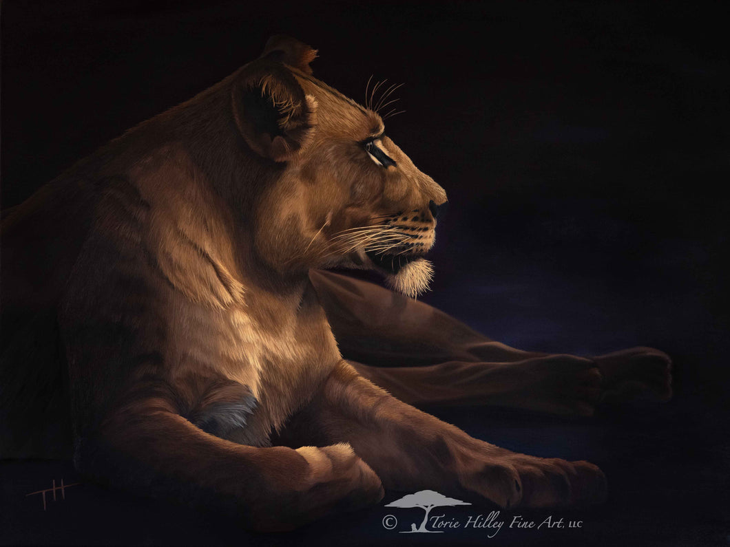 Twilight Lioness - Original