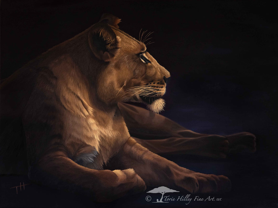Twilight Lioness - Limited Edition Reproduction Prints
