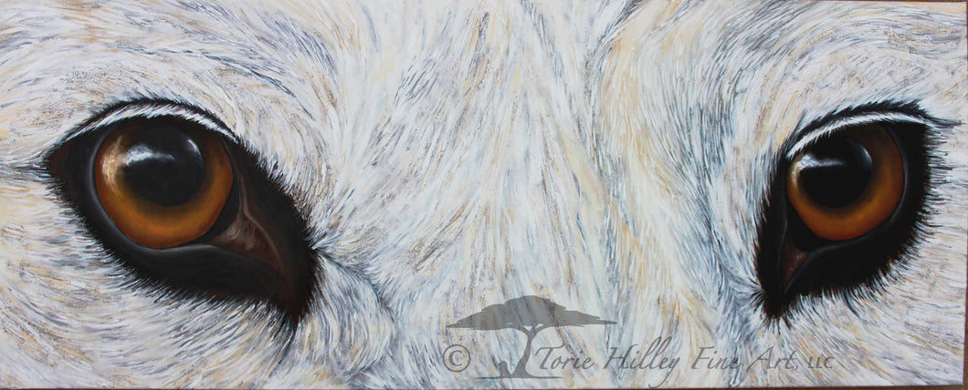 Wolf Eyes - Limited Edition Reproduction Prints