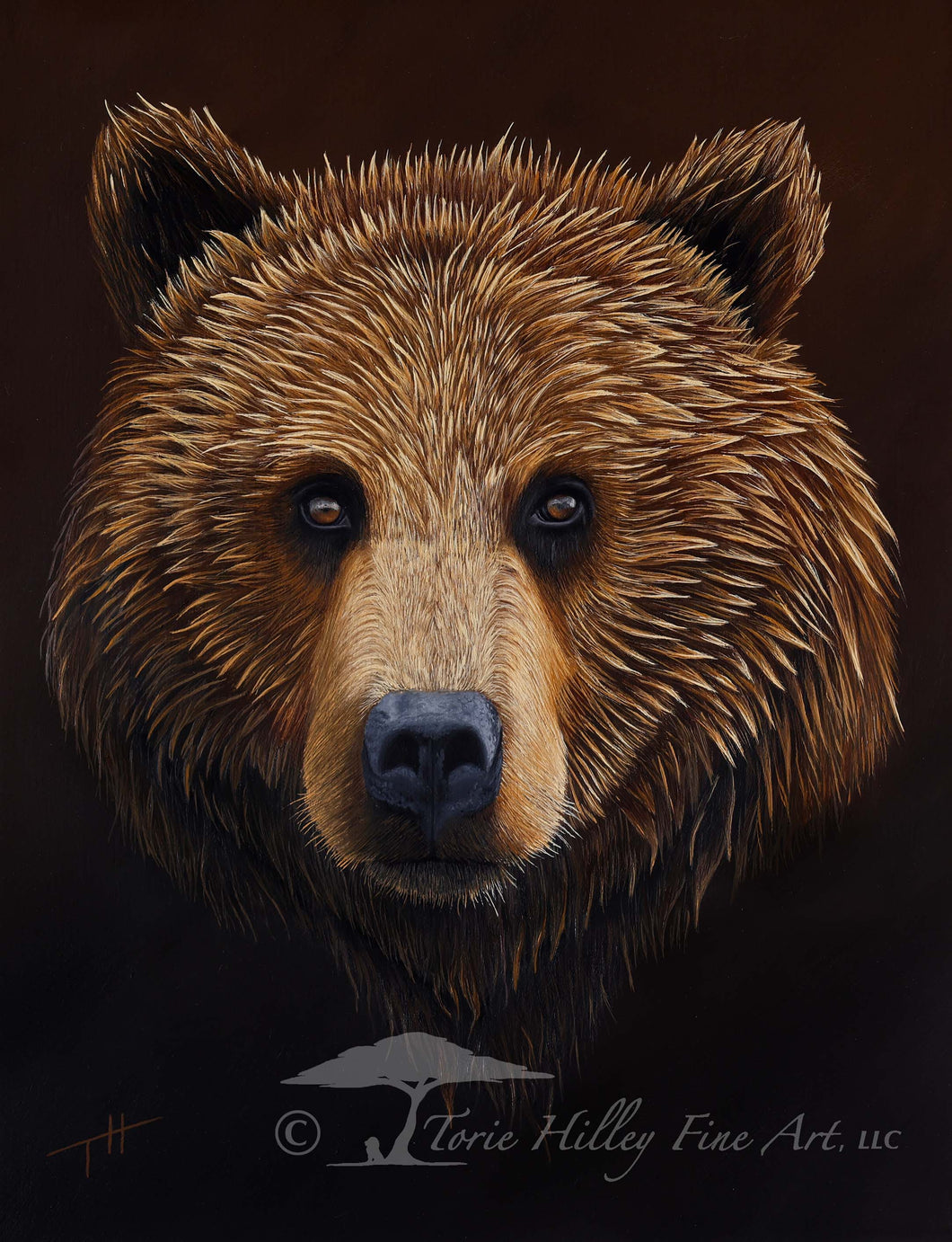 Emergence of a Wet Bear - Limited Edition Reproduction Prints