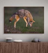 Load image into Gallery viewer, JUMP - Limited Edition Fine Art Print
