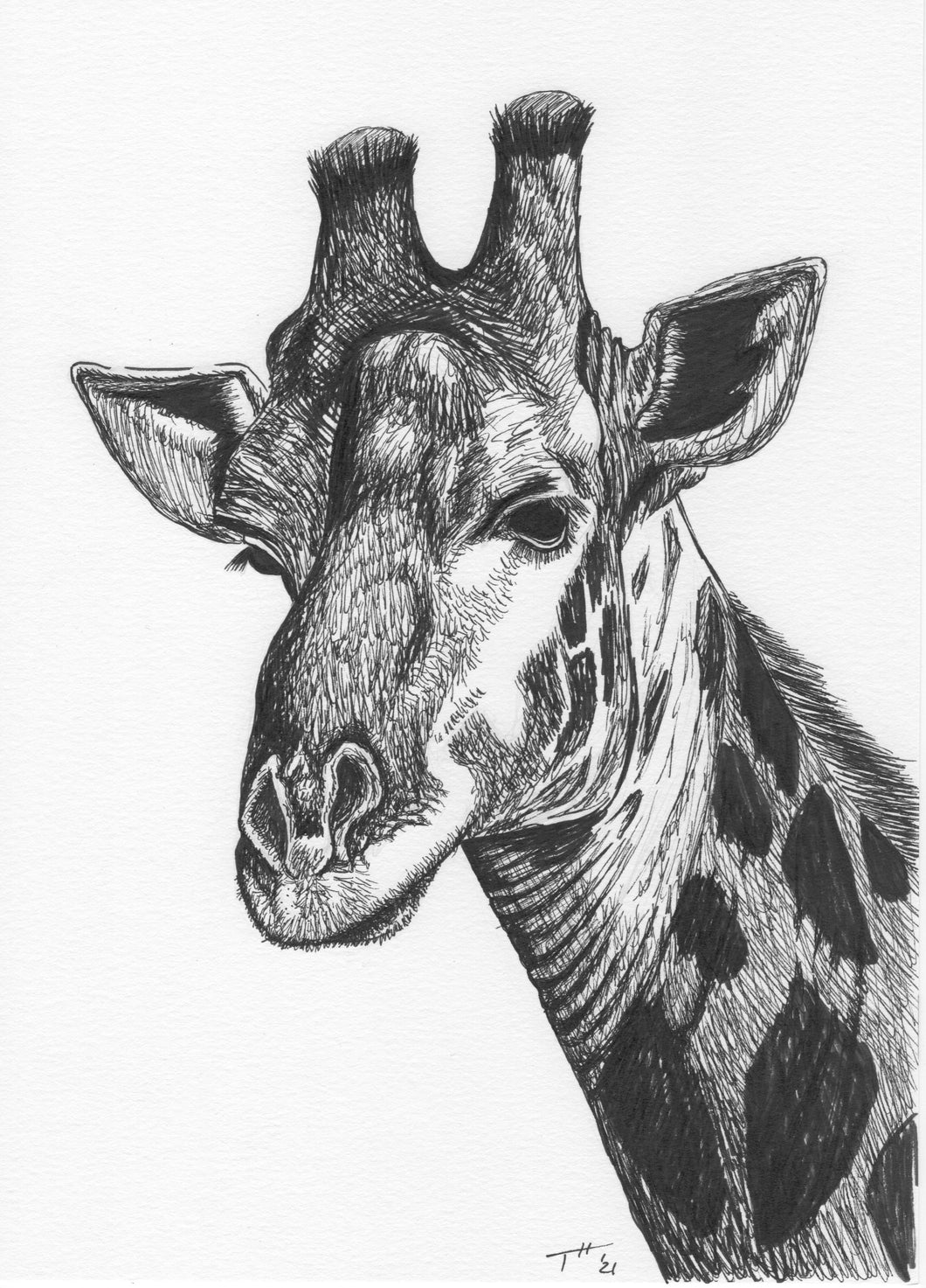 Geoffrey - Original Sketch