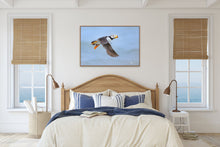 Load image into Gallery viewer, Flight - Limited Edition Fine Art Print
