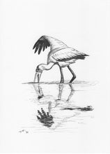Load image into Gallery viewer, Reflection - Original Sketch
