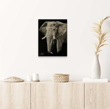 Load image into Gallery viewer, Dreaming of Elephants - Limited Edition Reproduction Prints
